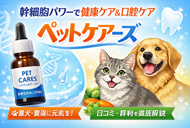 【口コミで話題】ペットケアーズの効果とは？幹細胞エッセンスで愛犬・愛猫の健康を守る方法