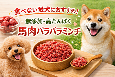 【愛犬の食欲がない？】無添加・高たんぱく「馬肉パラパラミンチ」が救世主！