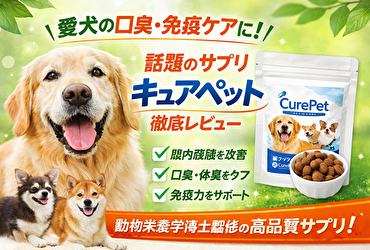 【老犬の口臭が気になるあなたへ】キュアペットで免疫×腸活ケア！話題のサプリを本音レビュー
